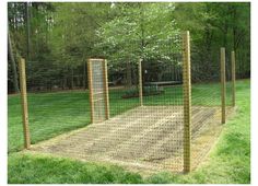 a fenced in area with grass and trees