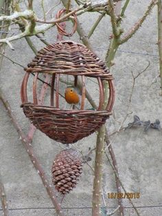 a bird in a cage hanging from a tree with cones on it's branches