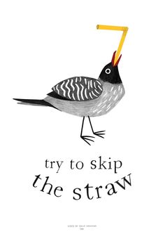 a bird with an orange beak is standing in front of the words try to skip the straw