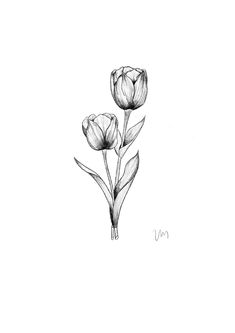 Tulip Tattoo For Men, Tulip Flower Tattoo Designs, Tulip Tattoo Men, Bouquet Of Tulips Tattoo, Oma Tattoo, Dutch Tattoo