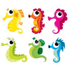 six seahorses with different colors and sizes, each one has an eye on it