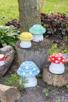 colorful mushrooms are sitting on the ground next to a tree