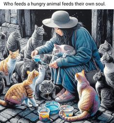 an image of a woman feeding cats on the street with caption that reads, who feeds a hungry animal feeds their own soul