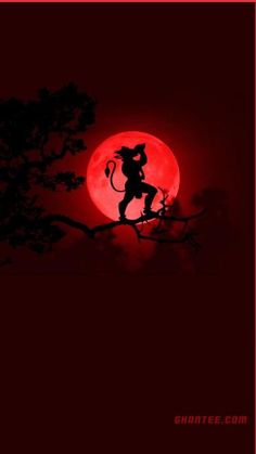 the silhouette of a cat sitting on a tree branch in front of a red moon