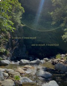 the sun shines brightly through the trees above a river with rocks and water in it