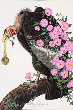 a bird sitting on top of a tree branch with pink flowers in it's beak