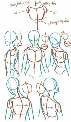 how to draw the human figure from different angles