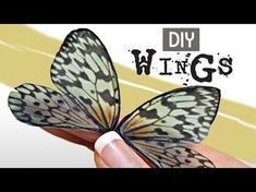 a hand holding a butterfly with the words diy wings on it