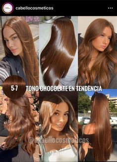 Fudge Hair Colour, Hair Colour For Asian Skin, Best Hair Color For Light Olive Skin, Light Brown Chestnut Hair, Cinnamon Brown Hair Colors, Blonde Chocolate Hair, Chocolate Brown Hair On Tan Skin, Filipina Hair Color, Mix Hair Color Ideas