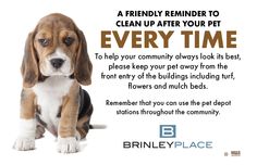 a beagle puppy sitting in front of a white background with the words, every time to clean up after your pet