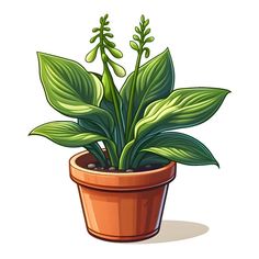 a potted plant with green leaves in it