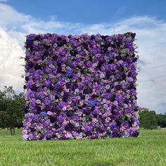 a large purple flowered wall in the middle of a field