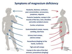 Calf Cramps, Muscles Of The Face, Leptin Resistance, Healthy Holistic Living