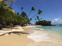 a beach with palm trees and people walking on it