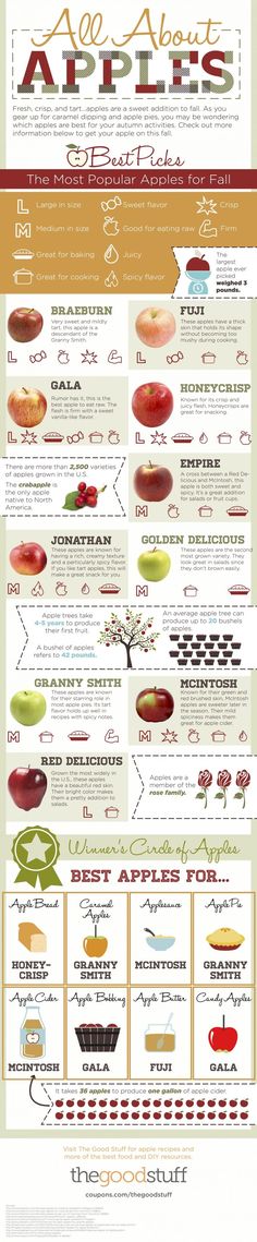 an info sheet showing the different types of apples and how they are used to make them