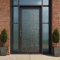 a black door with glass panels and two potted plants