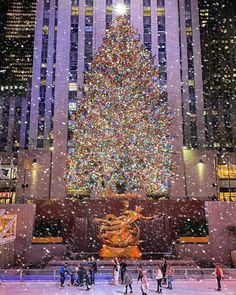 the rockefeller christmas tree in new york city