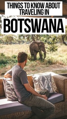 a man sitting on a bench with an elephant in the background and text overlay that reads things to know about traveling in botswana