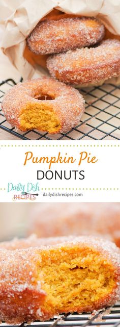 pumpkin pie donuts with powdered sugar on top