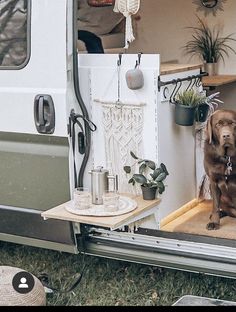 a brown dog sitting in the back of a white van with potted plants on it