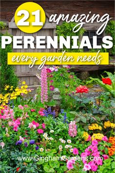 flowers and plants with text overlay that reads 21 amazing perennials every garden needs