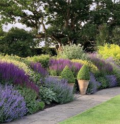 a garden filled with lots of purple and yellow flowers