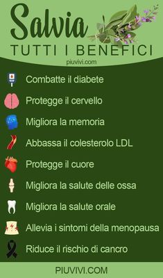 Lower Ldl Cholesterol, Salvia Officinalis, Ldl Cholesterol, Healthy Mom, Bone Health, Vegan Life, Oral Health, Health Remedies, Get Healthy