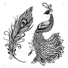 black and white drawing of a peacock with feathers