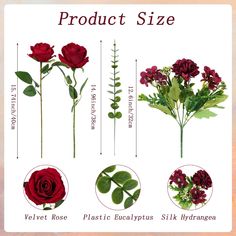 the different types of flowers are shown in this graphic diagram, which includes red roses and green leaves