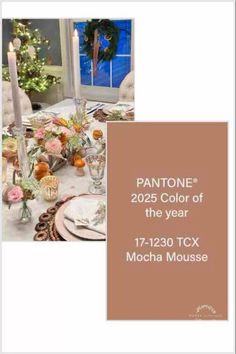 pantone's color of the year, mochamouse is shown in this image