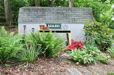 there is a sign that says azaleas in front of some plants and flowers