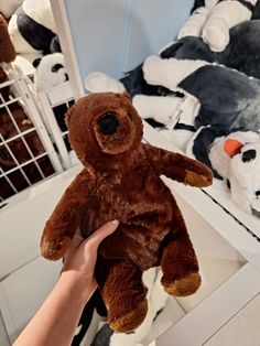 a person holding a brown teddy bear in front of several stuffed animals