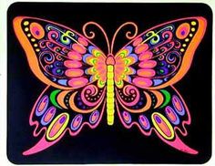 the colorful butterfly is lit up in the dark