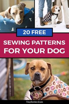 four different pictures of dogs wearing sweaters for their owner's dog, and the text overlay reads 20 free sewing patterns for your dog