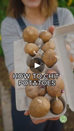 Chitting Potatoes, Organic Grocery Store, Plant Potatoes, Seed Potatoes, Arizona Gardening, How To Store Potatoes, Planting Potatoes, Organic Groceries, Desert Garden