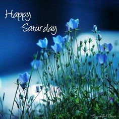 some blue flowers are in the grass and there is a happy saturday message on it