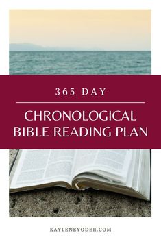 an open book with the title, 365 day chronological bible reading plan