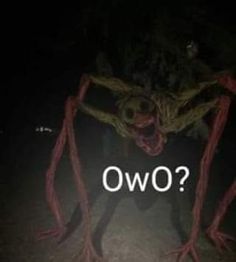 the words owo are projected in front of a creepy figure