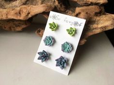 three small succulents are sitting on a card