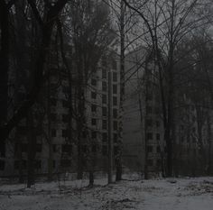 an abandoned building surrounded by trees in the snow