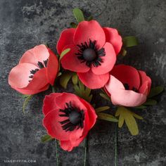 three red flowers with green leaves on a gray surface