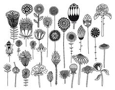 an assortment of flowers drawn in black and white