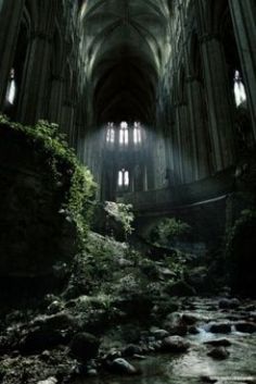 the interior of an old cathedral with moss growing on the rocks and water running through it