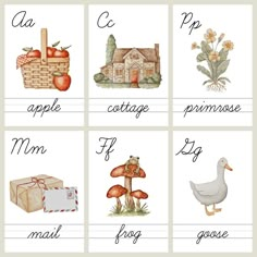 four different types of words in english with pictures of animals, flowers and fruit on them