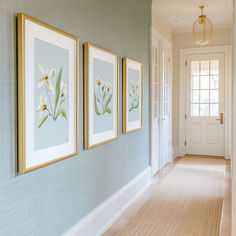 three framed pictures hang on the wall in a hallway with carpeted floor and light blue walls