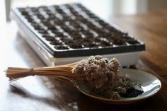 a plate with some dried flowers on it next to a muffin pan and a spoon