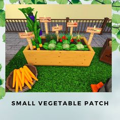 a small vegetable patch with carrots, cucumbers and other veggies