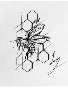 a black and white drawing of a bee on some honeycombs