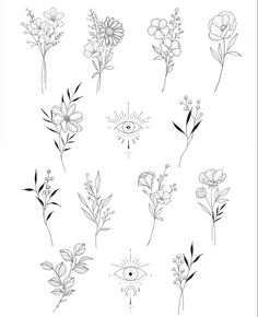 the different flowers are drawn in black ink on white paper, and each flower has an eye