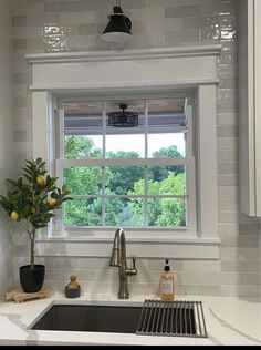 a kitchen sink under a window with a potted plant on the counter next to it